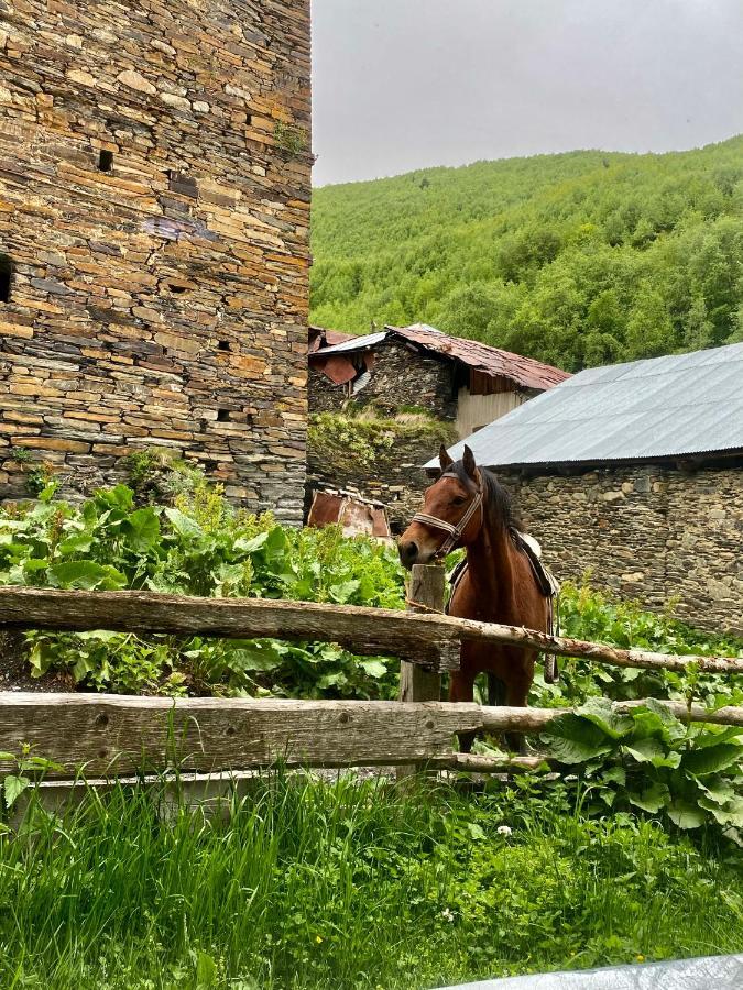 Hotel Nizharadze'S Tower Ushguli Exterior foto